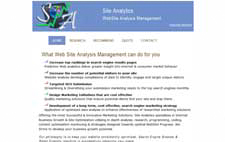 Site analytics website optimization